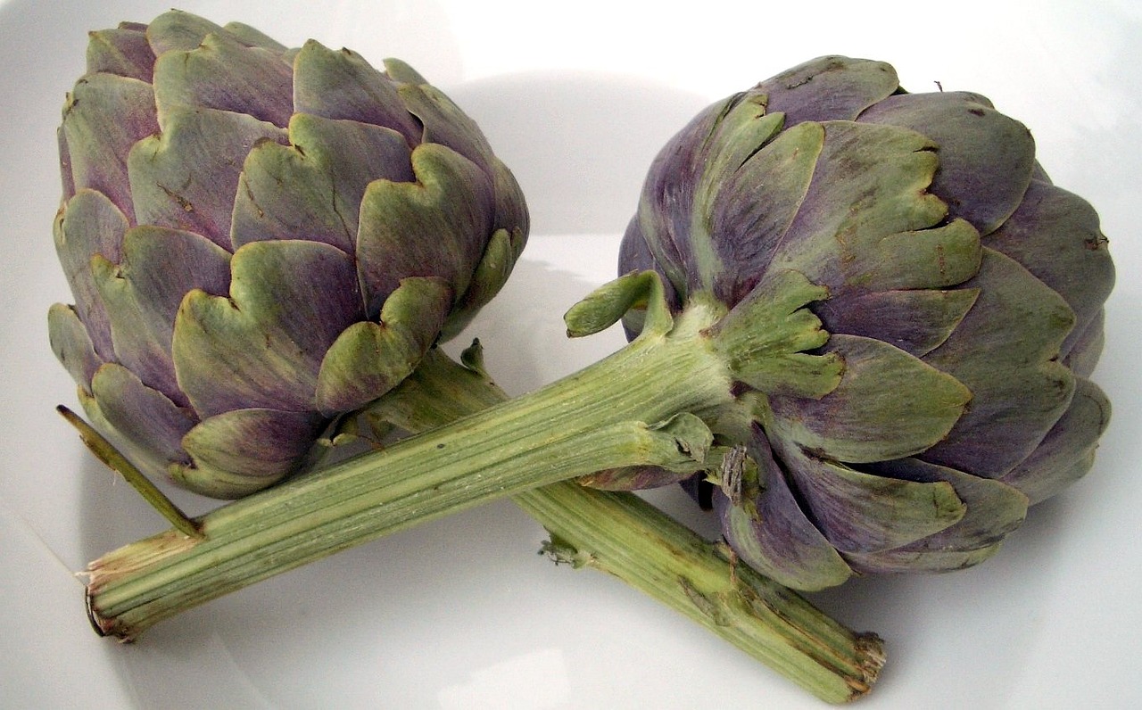 Dos alcachofas sobre un plato blanco